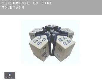 Condominio en  Pine Mountain