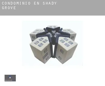 Condominio en  Shady Grove