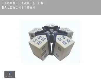 Inmobiliaria en  Baldwinstown
