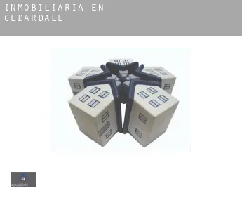 Inmobiliaria en  Cedardale