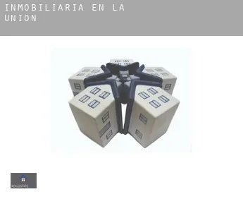 Inmobiliaria en  La Unión