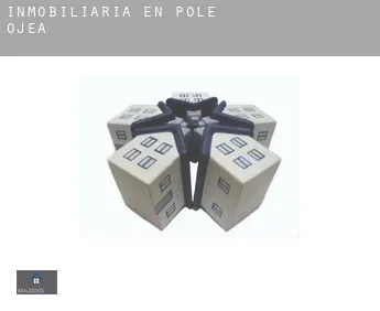 Inmobiliaria en  Pole Ojea
