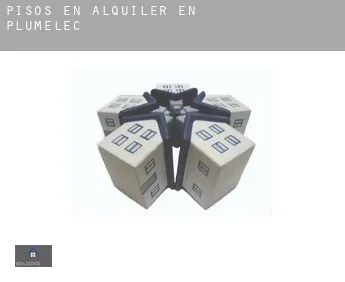 Pisos en alquiler en  Plumelec