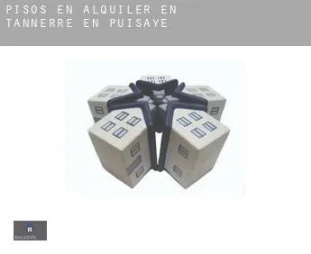 Pisos en alquiler en  Tannerre-en-Puisaye