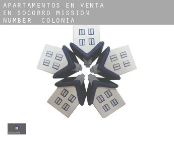 Apartamentos en venta en  Socorro Mission Number 1 Colonia