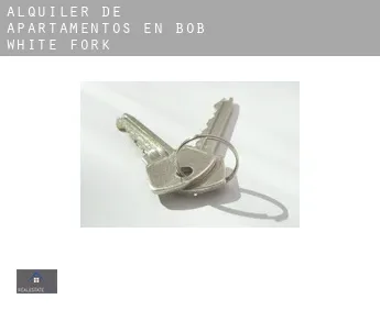 Alquiler de apartamentos en  Bob White Fork