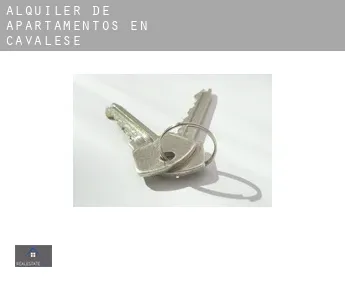 Alquiler de apartamentos en  Cavalese