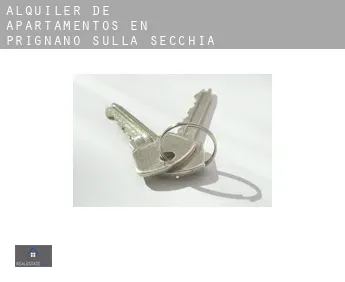 Alquiler de apartamentos en  Prignano sulla Secchia