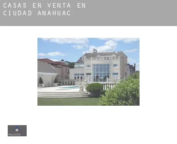 Casas en venta en  Ciudad Anáhuac