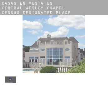 Casas en venta en  Central Wesley Chapel