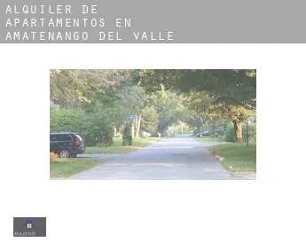 Alquiler de apartamentos en  Amatenango del Valle