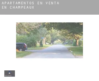 Apartamentos en venta en  Champeaux