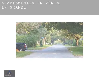 Apartamentos en venta en  Grande