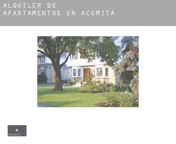 Alquiler de apartamentos en  Acomita