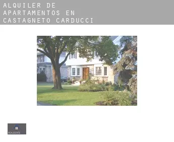 Alquiler de apartamentos en  Castagneto Carducci