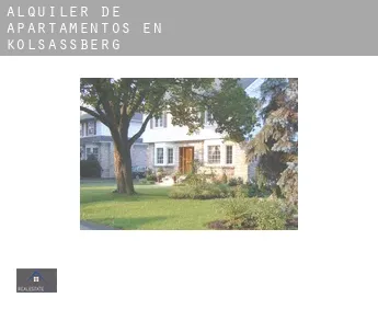 Alquiler de apartamentos en  Kolsassberg