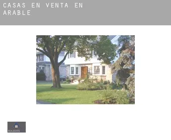 Casas en venta en  Arable