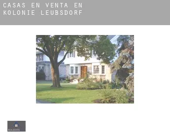 Casas en venta en  Kolonie Leubsdorf