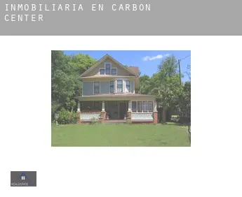 Inmobiliaria en  Carbon Center