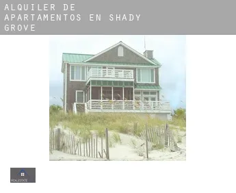 Alquiler de apartamentos en  Shady Grove