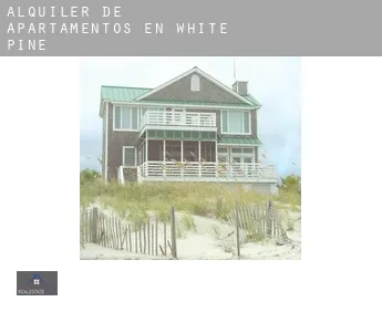 Alquiler de apartamentos en  White Pine