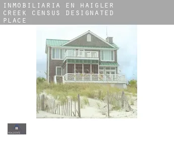 Inmobiliaria en  Haigler Creek