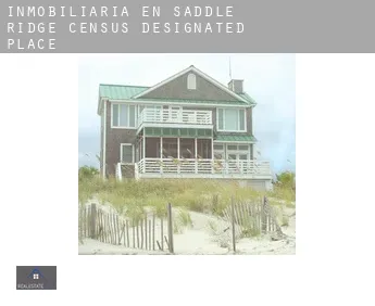 Inmobiliaria en  Saddle Ridge