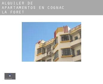 Alquiler de apartamentos en  Cognac-la-Forêt