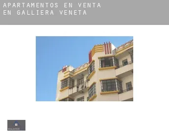 Apartamentos en venta en  Galliera Veneta