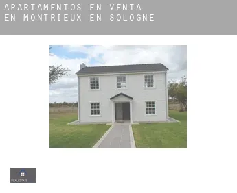 Apartamentos en venta en  Montrieux-en-Sologne