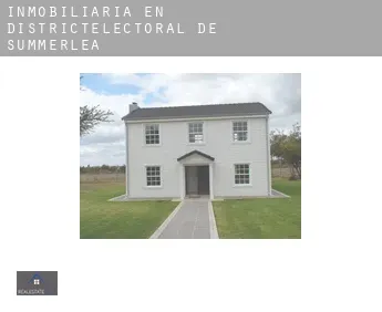 Inmobiliaria en Districtélectoral de Summerlea