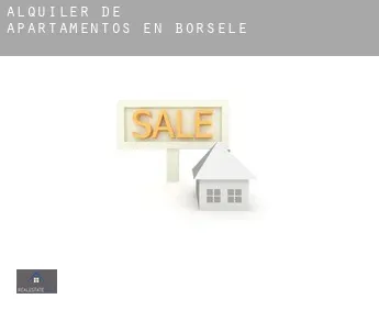 Alquiler de apartamentos en  Borsele