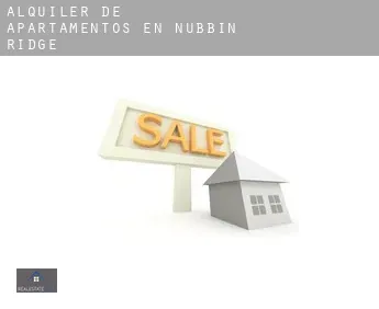 Alquiler de apartamentos en  Nubbin Ridge