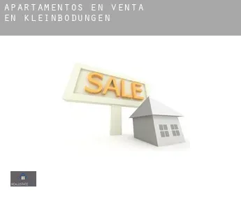 Apartamentos en venta en  Kleinbodungen