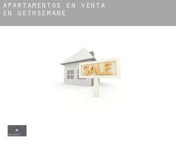 Apartamentos en venta en  Gethsemane