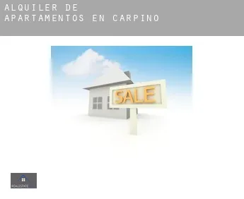 Alquiler de apartamentos en  Carpino