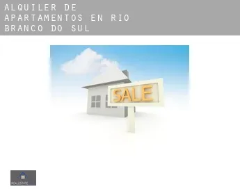 Alquiler de apartamentos en  Rio Branco do Sul