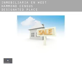 Inmobiliaria en  West Hammond