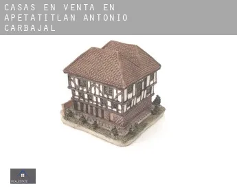 Casas en venta en  Apetatitlán Antonio Carbajal