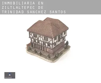 Inmobiliaria en  Ziltlaltépec de Trinidad Sánchez Santos