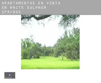 Apartamentos en venta en  White Sulphur Springs