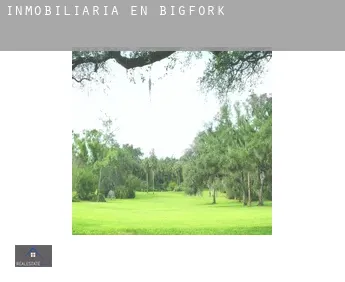 Inmobiliaria en  Bigfork