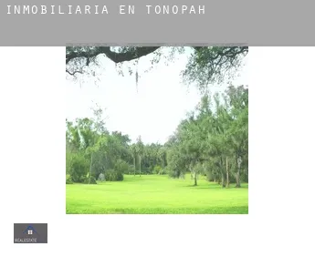 Inmobiliaria en  Tonopah