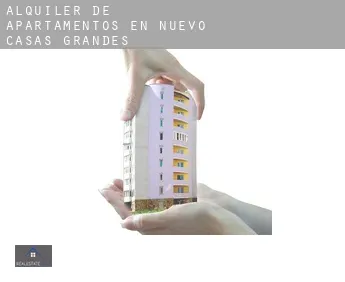 Alquiler de apartamentos en  Nuevo Casas Grandes