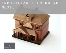 Inmobiliaria en  Nuevo México