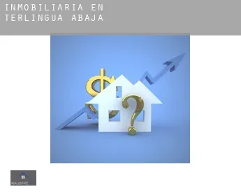 Inmobiliaria en  Terlingua Abaja