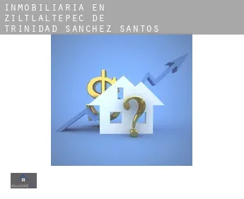 Inmobiliaria en  Ziltlaltépec de Trinidad Sánchez Santos