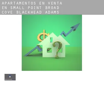 Apartamentos en venta en  Small Point-Broad Cove-Blackhead-Adams Cove
