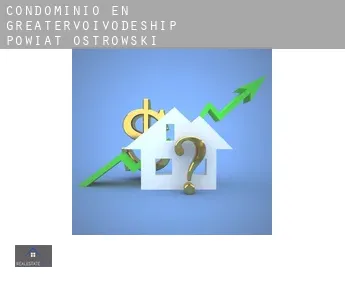 Condominio en  Powiat ostrowski (Greater Poland Voivodeship)
