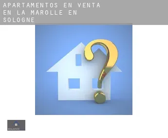 Apartamentos en venta en  La Marolle-en-Sologne
